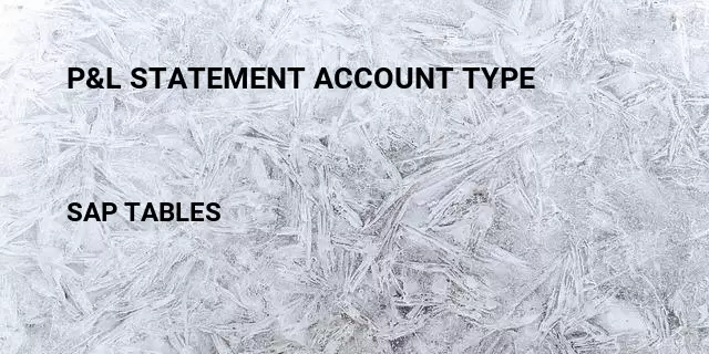 P&l statement account type Table in SAP