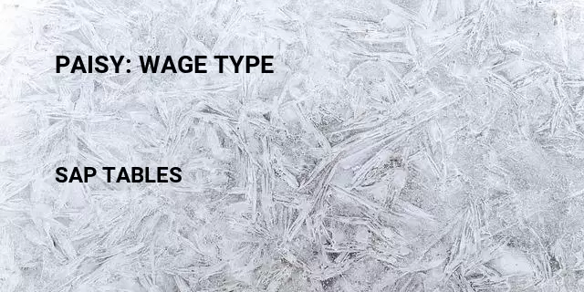 Paisy: wage type Table in SAP