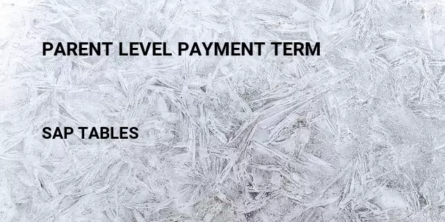 Parent level payment term Table in SAP