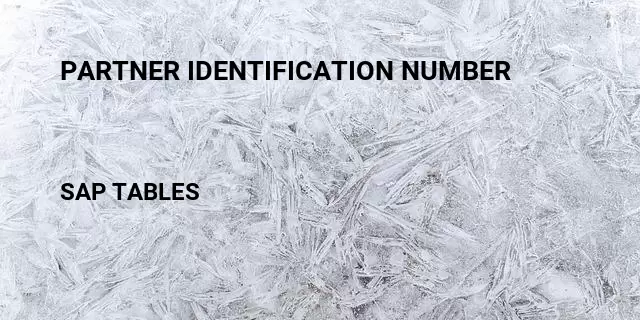 Partner identification number Table in SAP