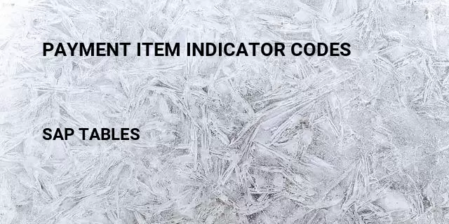 Payment item indicator codes Table in SAP