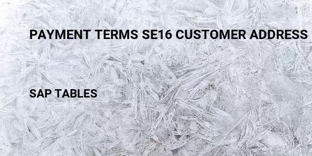 Payment terms se16 customer address Table in SAP