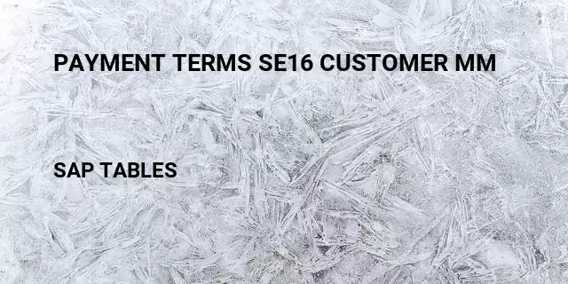 Payment terms se16 customer mm Table in SAP