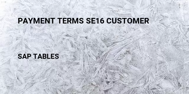 Payment terms se16 customer Table in SAP