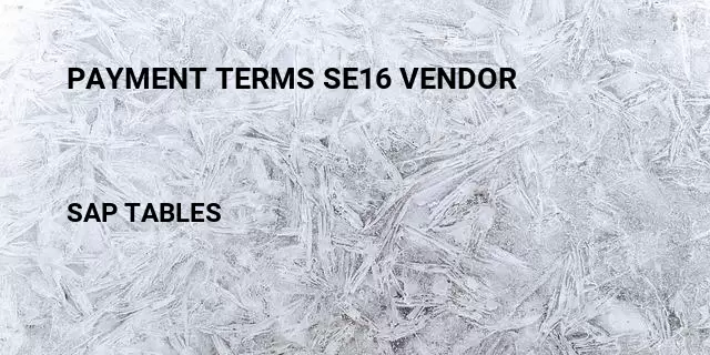 Payment terms se16 vendor Table in SAP