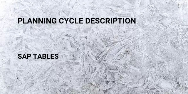 Planning cycle description Table in SAP