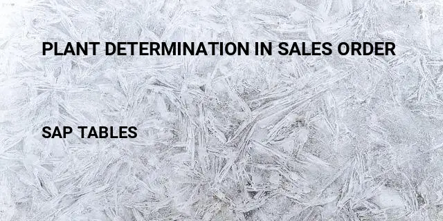 Plant determination in sales order Table in SAP