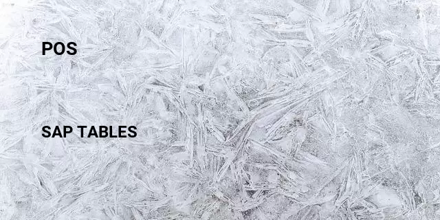 Pos Table in SAP
