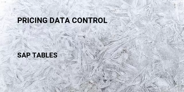 Pricing data control Table in SAP