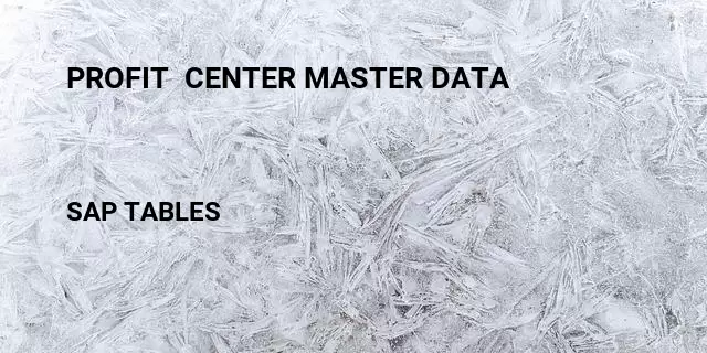 Profit  center master data Table in SAP