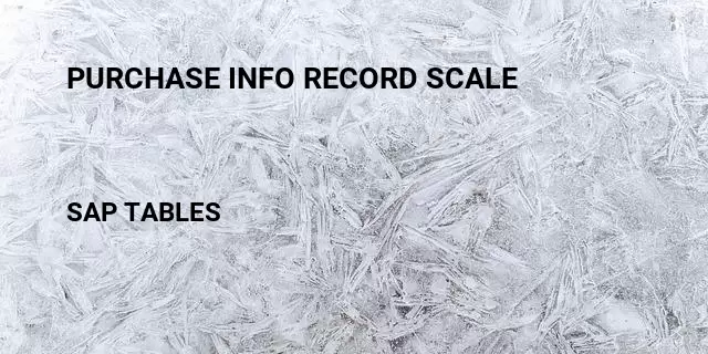 Purchase info record scale Table in SAP