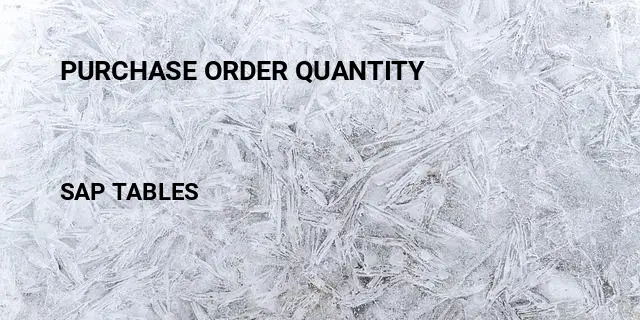Purchase order quantity Table in SAP