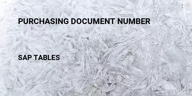 Purchasing document number Table in SAP