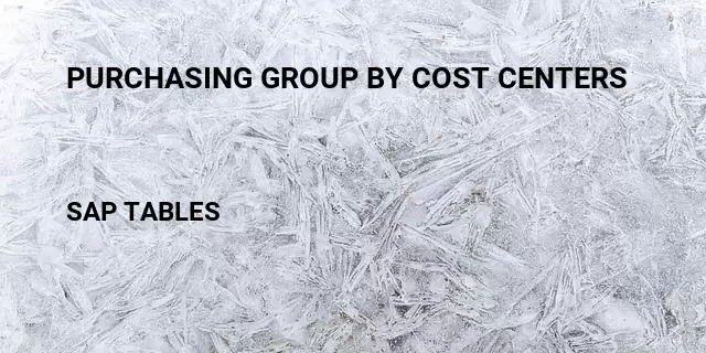 Purchasing group by cost centers Table in SAP