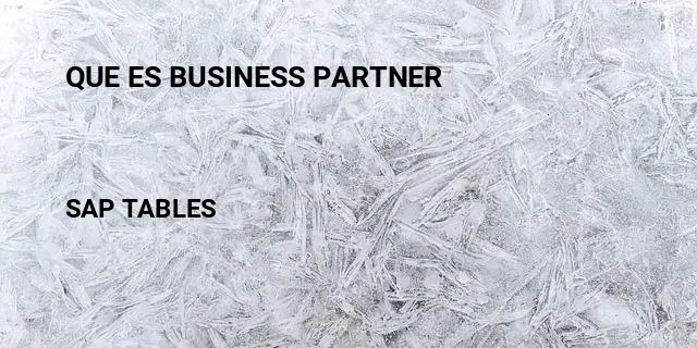 Que es business partner Table in SAP