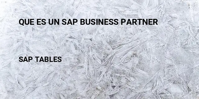 Que es un sap business partner Table in SAP
