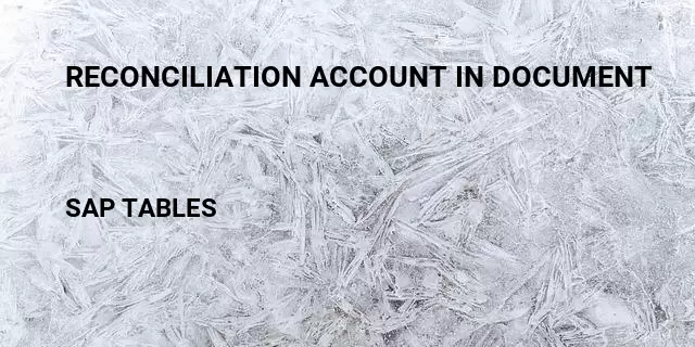Reconciliation account in document Table in SAP