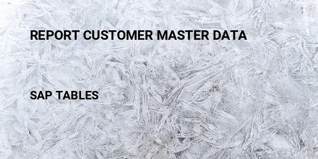 Report customer master data Table in SAP