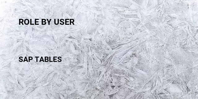 Role by user Table in SAP