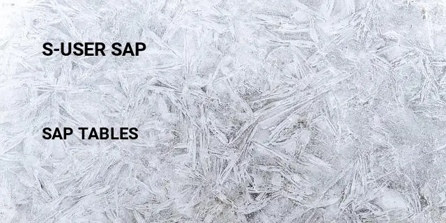 S-user sap Table in SAP