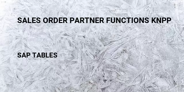 Sales order partner functions knpp Table in SAP