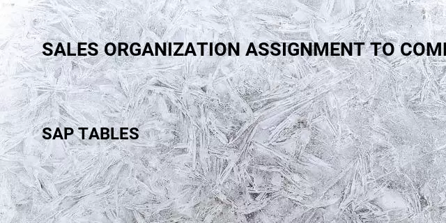 Sales organization assignment to company code Table in SAP