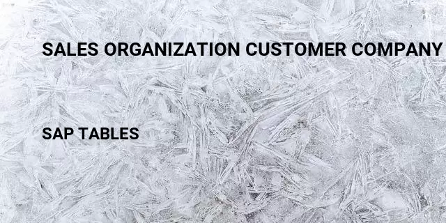 Sales organization customer company code Table in SAP