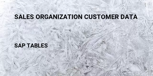 Sales organization customer data  Table in SAP