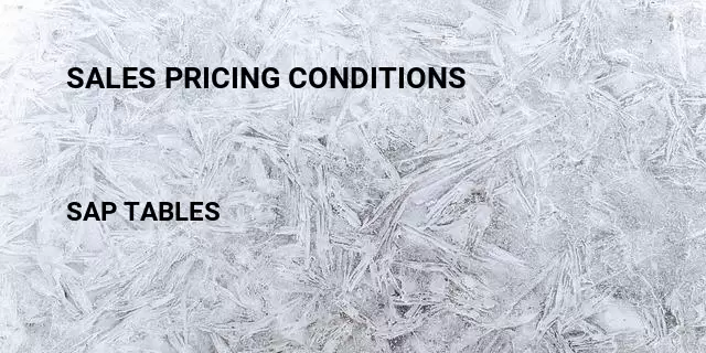 Sales pricing conditions Table in SAP