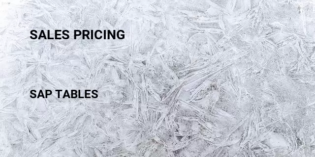 Sales pricing Table in SAP