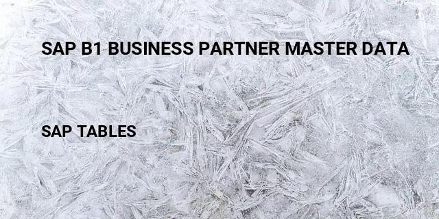 Sap b1 business partner master data Table in SAP