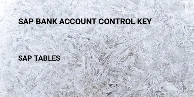 Sap bank account control key Table in SAP