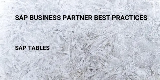 Sap business partner best practices Table in SAP