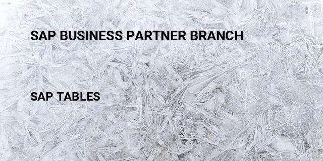 Sap business partner branch Table in SAP