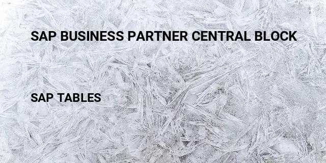 Sap business partner central block Table in SAP