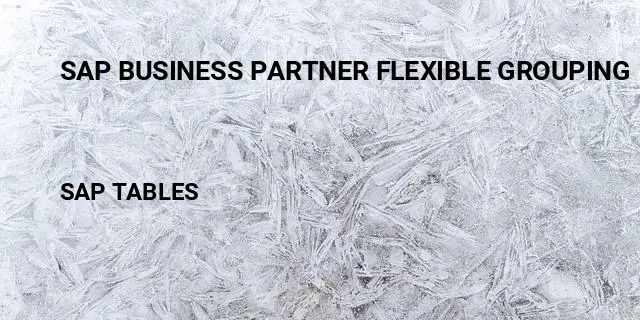 Sap business partner flexible grouping Table in SAP