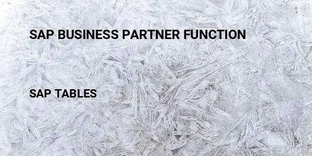 Sap business partner function Table in SAP