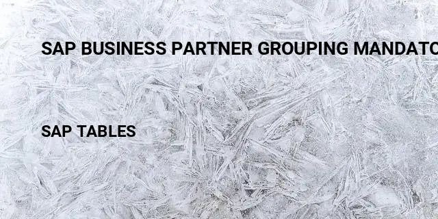 Sap business partner grouping mandatory Table in SAP