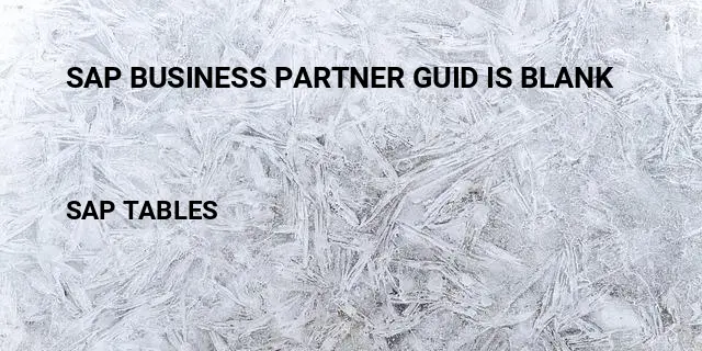 Sap business partner guid is blank Table in SAP