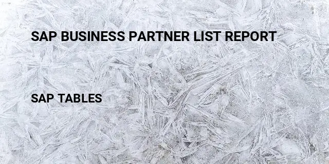 Sap business partner list report Table in SAP