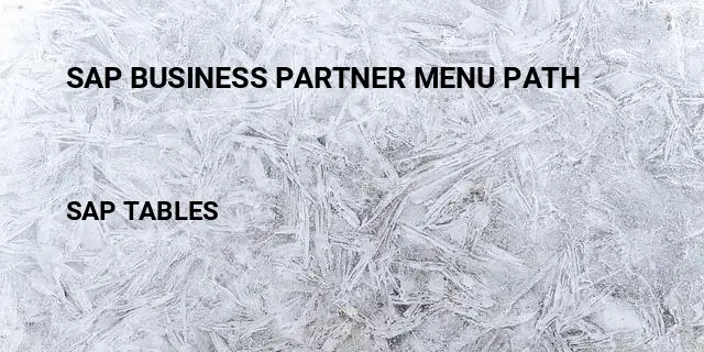 Sap business partner menu path Table in SAP