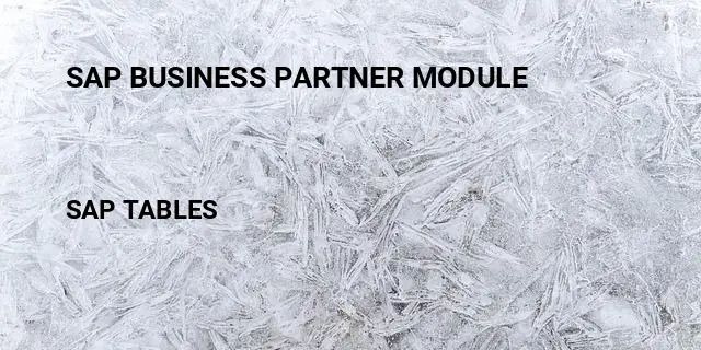 Sap business partner module Table in SAP