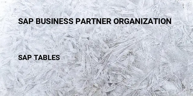 Sap business partner organization Table in SAP