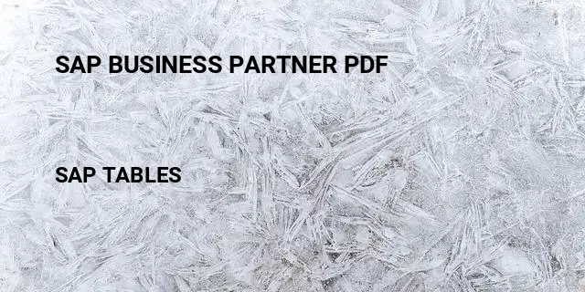 Sap business partner pdf Table in SAP