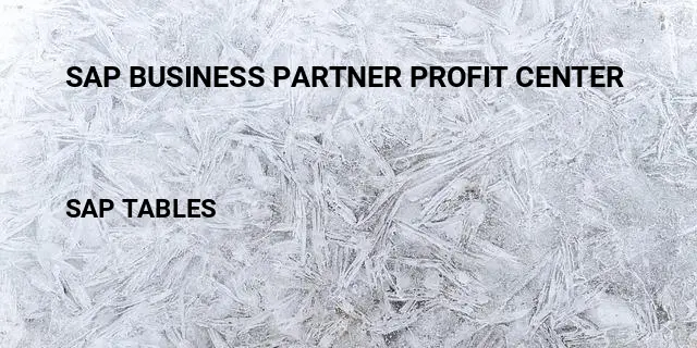 Sap business partner profit center Table in SAP