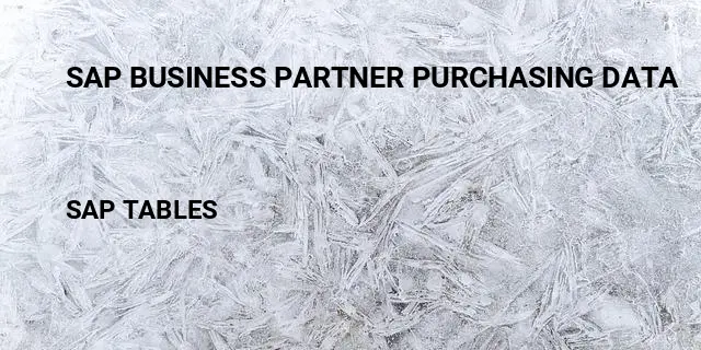 Sap business partner purchasing data Table in SAP