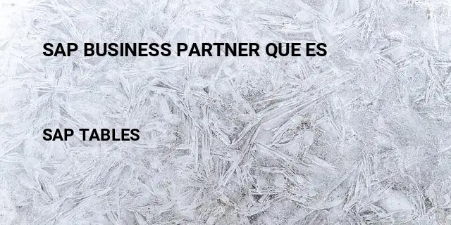 Sap business partner que es Table in SAP