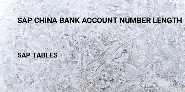 Sap china bank account number length Table in SAP