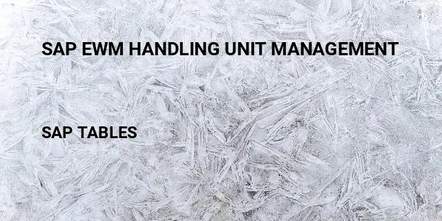 Sap ewm handling unit management Table in SAP