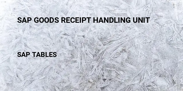 Sap goods receipt handling unit Table in SAP